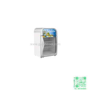 ตู้แช่แข็งทรงยืน รุ่น SNR-0100